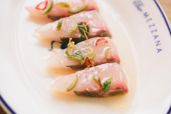 Salmon Crudo**