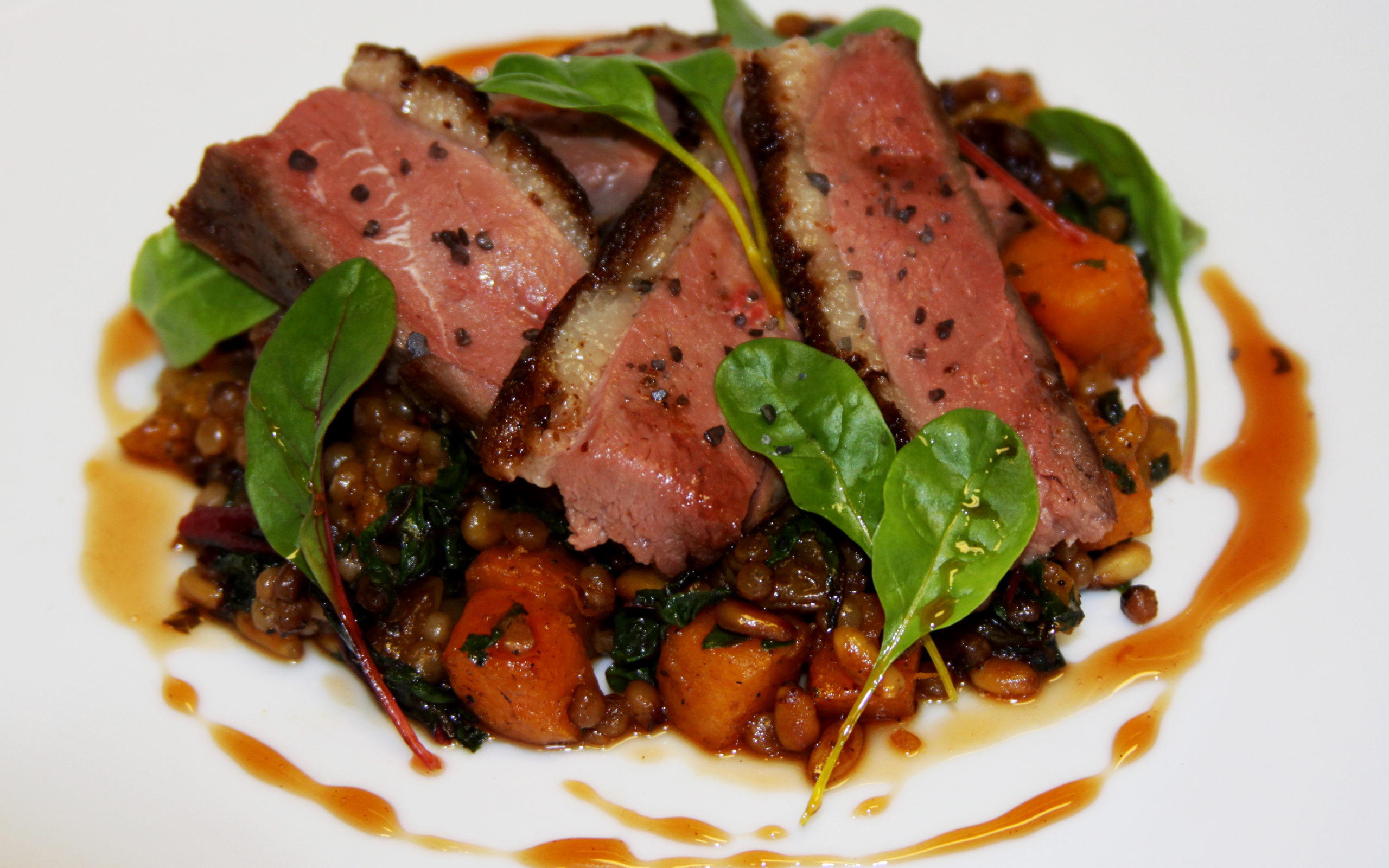 Hudson Valley Duck