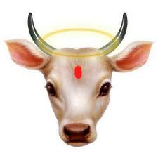 Holy Cow Vasastan (SE) Meny Priser