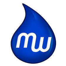 Mobile Wash Prices