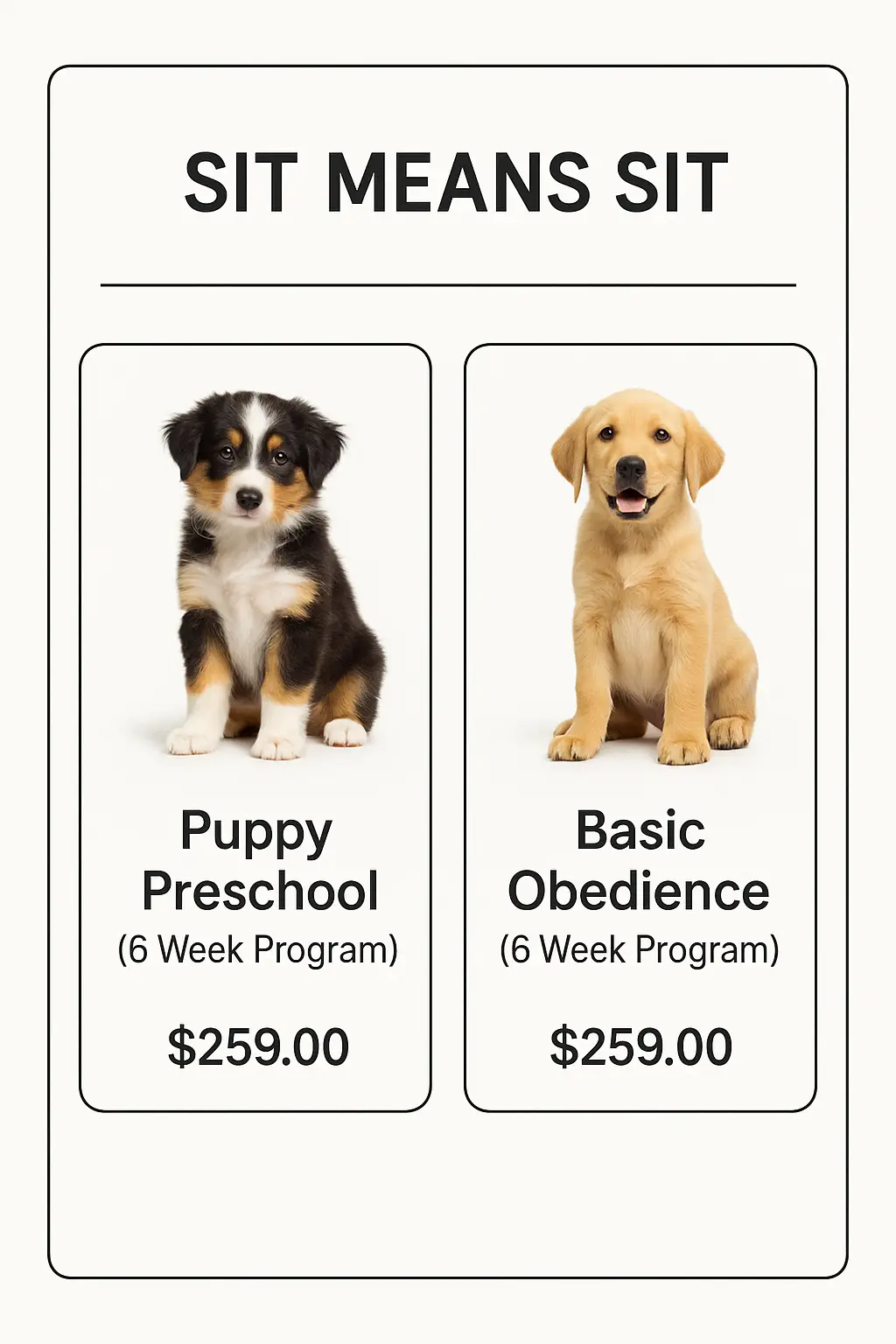 Sit Means Sit Menu Prices