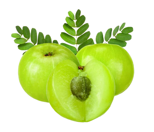 Amla