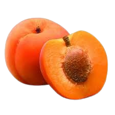 Apricot
