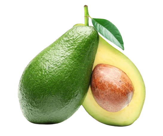 Avocado