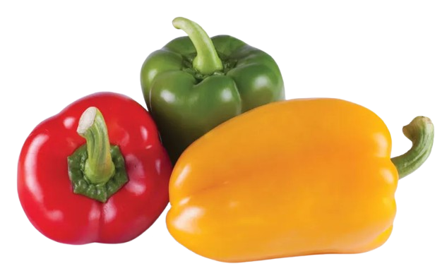 Bell Pepper
