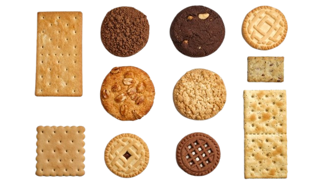 Biscuit