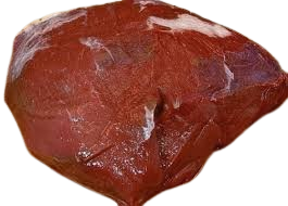 Bison