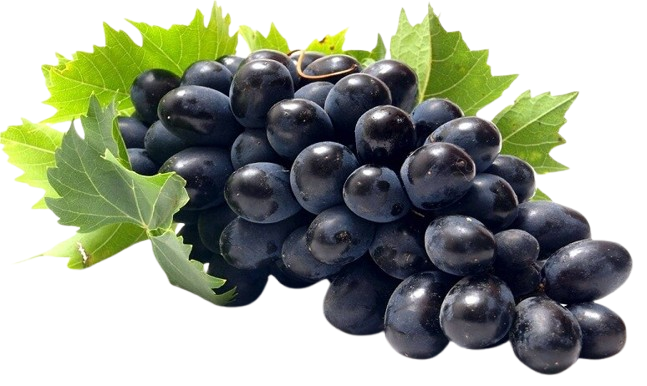 Black Grapes