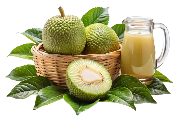 Breadfruit Juice