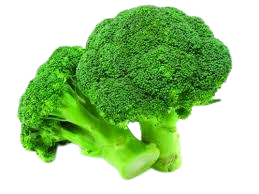 Broccoli