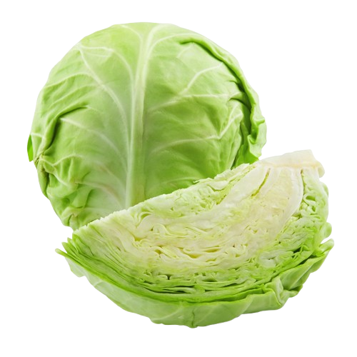 Cabbage