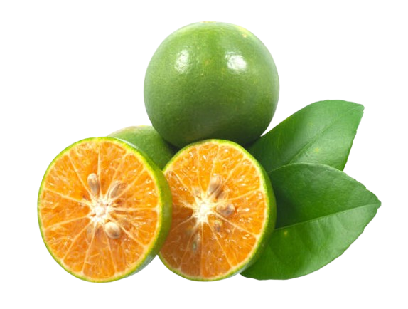 Calamansi
