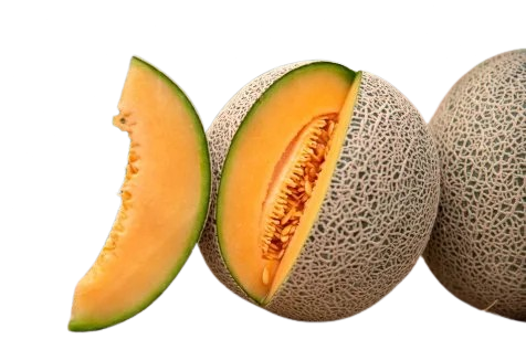 Cantaloupe