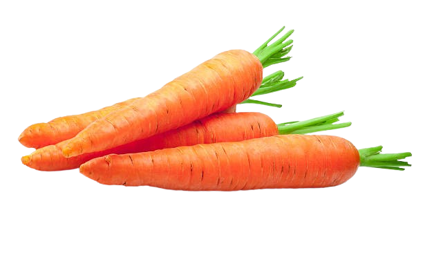 Carrot