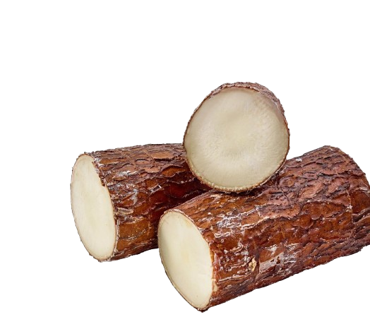 Cassava Root