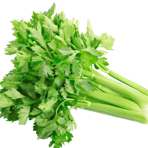 Celery