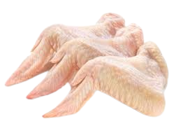 Chicken Wing