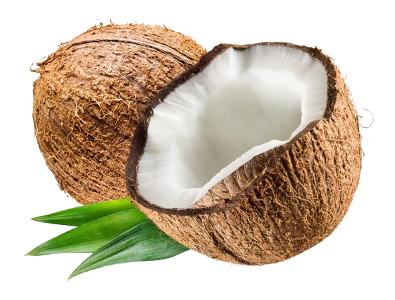 Coconut