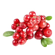Cranberry