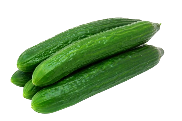 Cucumber
