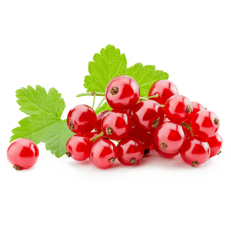 Currants