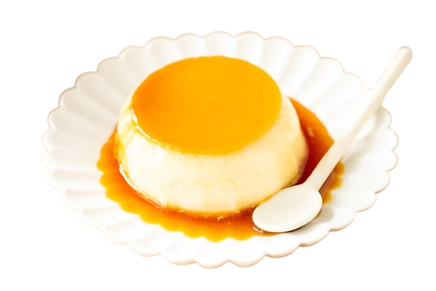 Custard Pudding