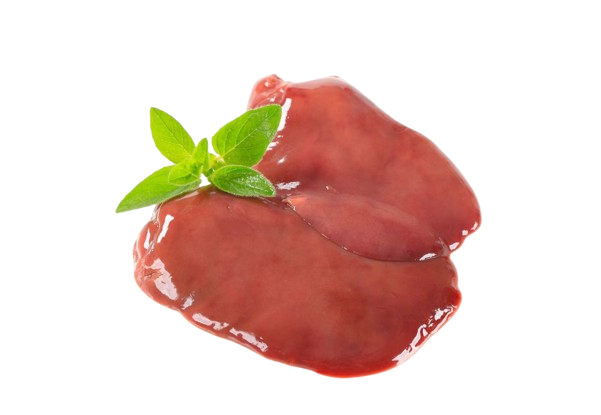 Duck Liver
