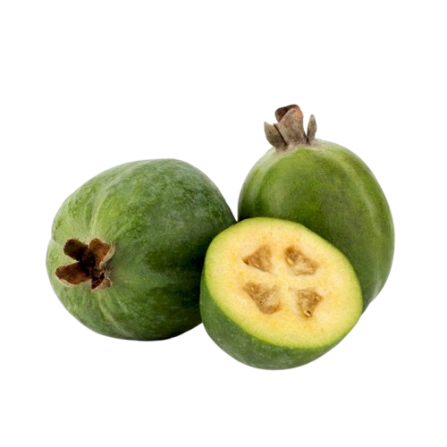 Feijoa