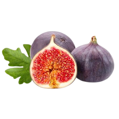Fig