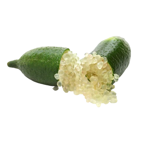 Finger Lime