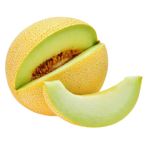 Galia Melon