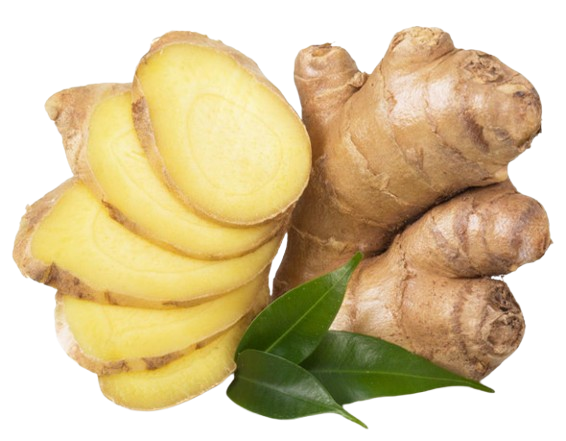 Ginger