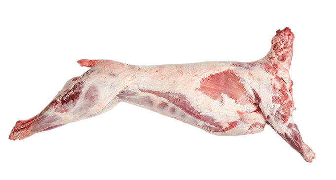 Goat Meat