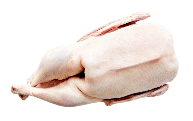 Goose