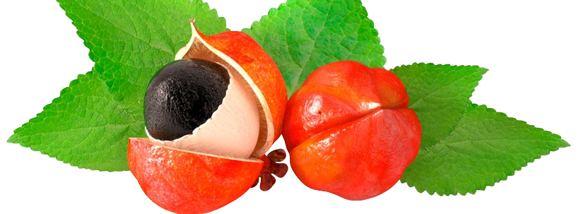 Guarana