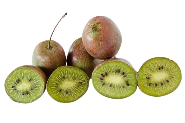 Hardy Kiwi