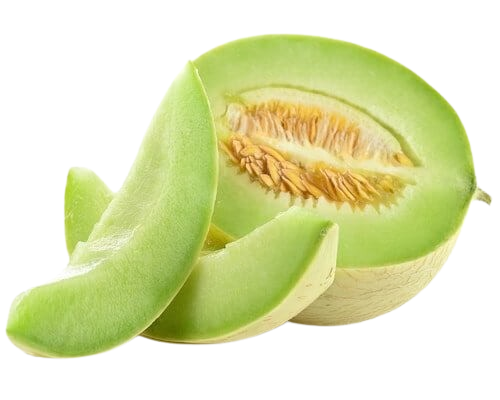 Honeydew Melon