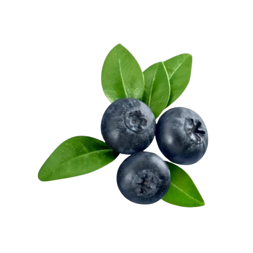 Huckleberry