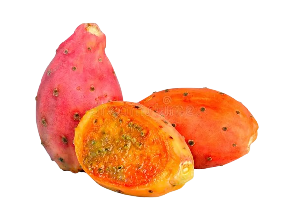 Indian Fig