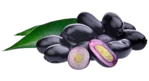 Java Plum