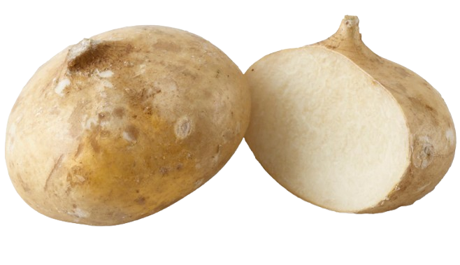 Jicama