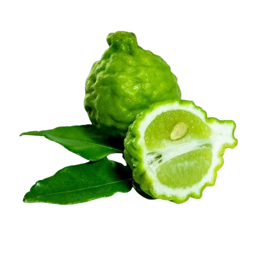 Kaffir Lime