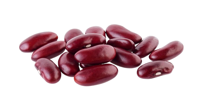 Kidney Beans
