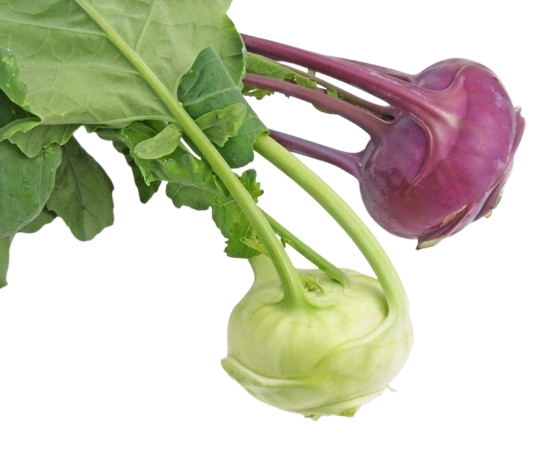 Kohlrabi