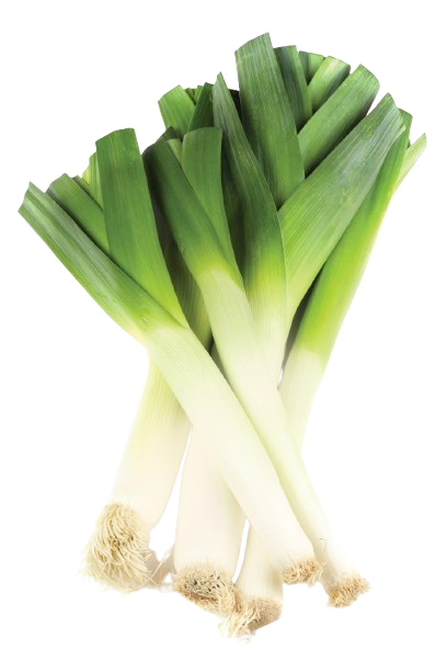 Leek