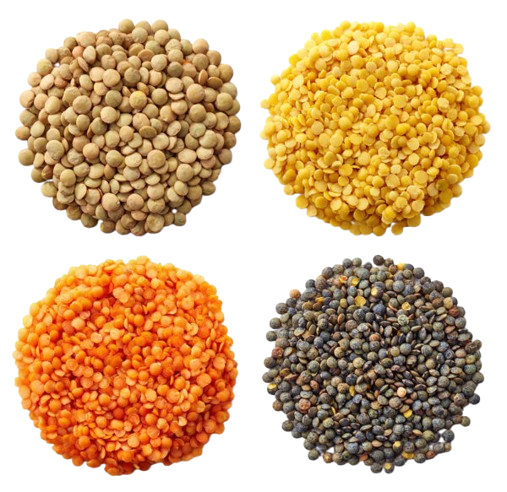 Lentils