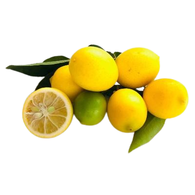 Limequat