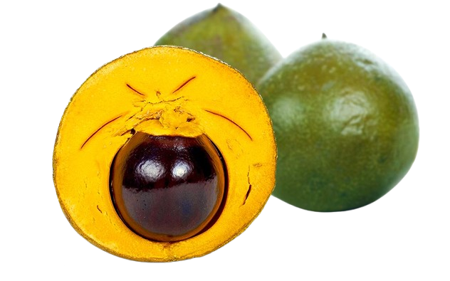 Lucuma
