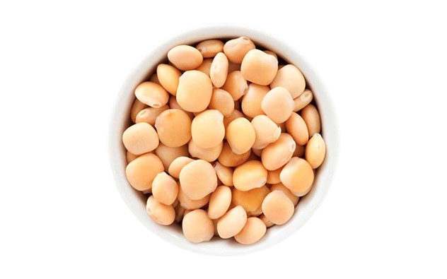 Lupini Beans