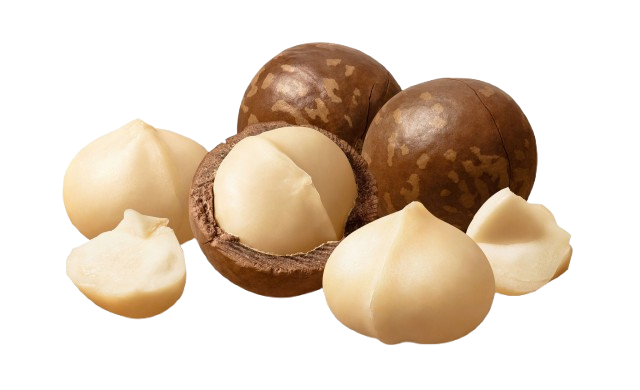 Macadamia Nuts